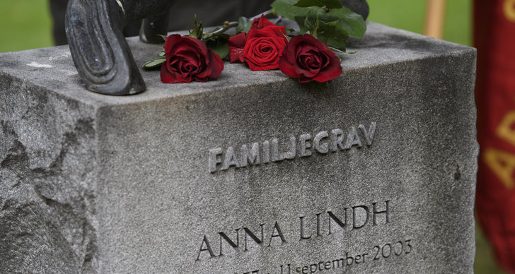 Anna Lindh, Politik, mord